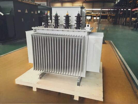 3相油入変圧器 750KVA ±2x2.5% タップ範囲 安定かつ安全な電力供給用